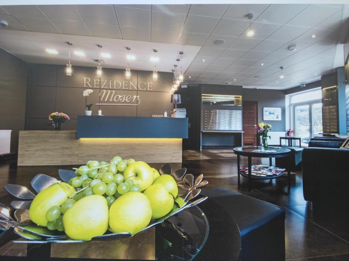 Apartment Rezidence Moser-free Parking Garage Karlovy Vary