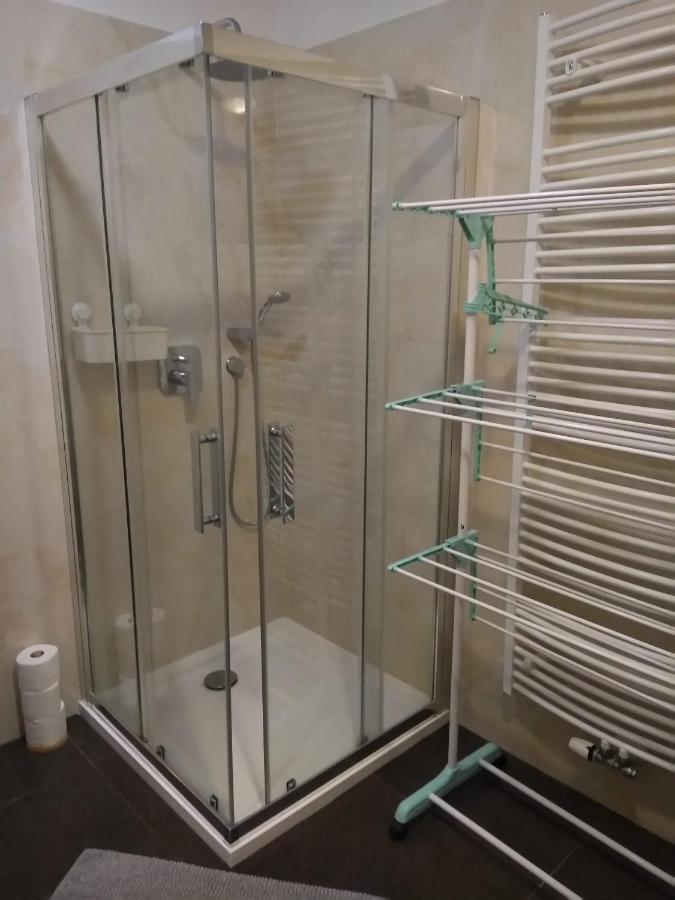 Apartment Rezidence Moser-free Parking Garage Karlovy Vary